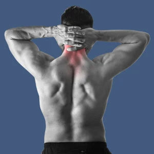 Shiatsu Neck & Shoulder Massager with Heat